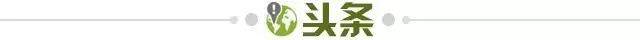竞技宝赛事数据-【早报】意大利连续三届无缘世界杯！